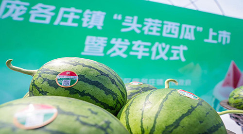 �ذ�ح�Ӹ�ׯ�����״�������Դ��